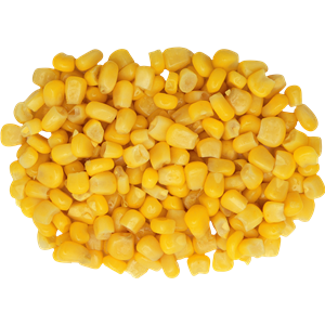 Corn PNG image-5268